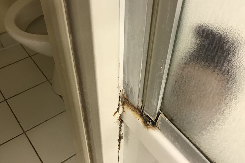 Mould growth on hotel room wall (photo 12)